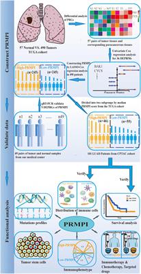 Identification of a prognostic index system and tumor immune infiltration characterization for lung adenocarcinoma based on mRNA molecular of pyroptosis